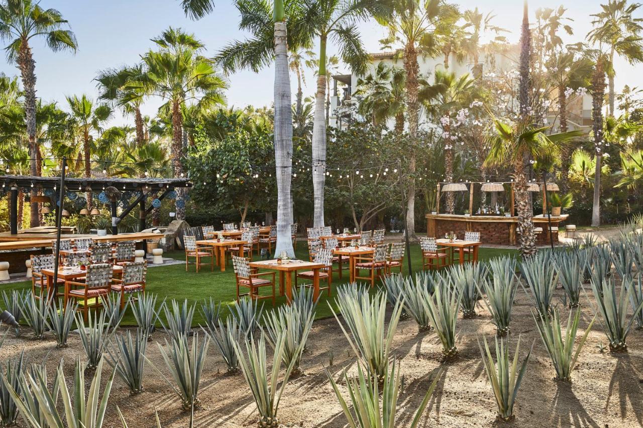 Esperanza, Auberge Resorts Collection Cabo San Lucas Eksteriør billede